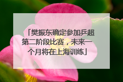 樊振东确定参加乒超第二阶段比赛，未来一个月将在上海训练