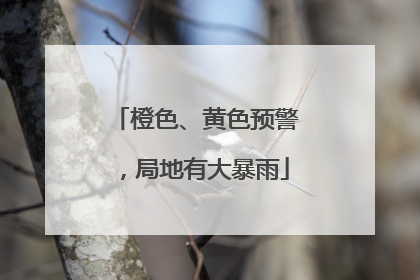 橙色、黄色预警，局地有大暴雨