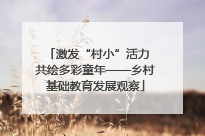 激发“村小”活力 共绘多彩童年——乡村基础教育发展观察