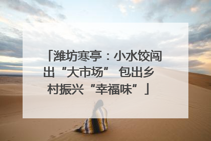 潍坊寒亭：小水饺闯出“大市场” 包出乡村振兴“幸福味”