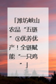 潍坊峡山农品“五链”③优养优产！全链赋能“一只鸡”