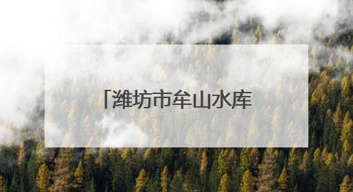 潍坊市牟山水库党总支：科学调配水资源 保障区域供水安全