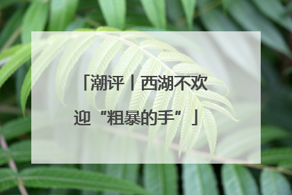潮评丨西湖不欢迎“粗暴的手”