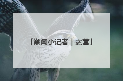潮闻小记者｜露营