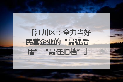 江川区：全力当好民营企业的“最强后盾”“最佳拍档”
