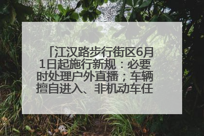 江汉路步行街区6月1日起施行新规：必要时处理户外直播；车辆擅自进入、非机动车任意停放的，依法处理