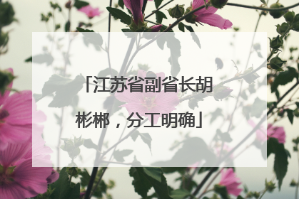 江苏省副省长胡彬郴，分工明确