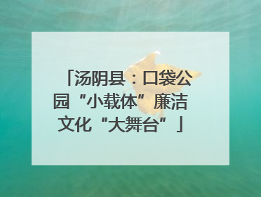 汤阴县：口袋公园“小载体”廉洁文化“大舞台”