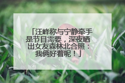 汪峰称与宁静牵手是节目需要，深夜晒出女友森林北合照：我俩好着呢！