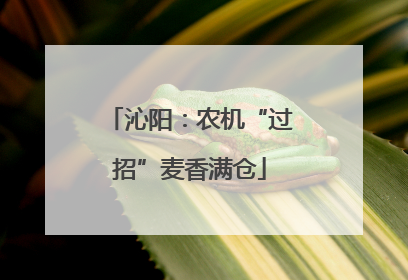 沁阳：农机“过招”麦香满仓