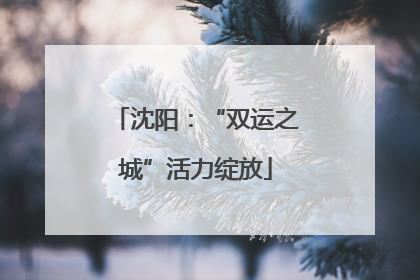 沈阳：“双运之城”活力绽放