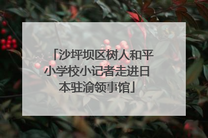 沙坪坝区树人和平小学校小记者走进日本驻渝领事馆