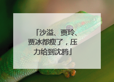 沙溢、贾玲、贾冰都瘦了，压力给到沈腾
