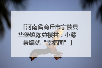 河南省商丘市宁陵县华堡镇陈兑楼村：小藤条编就“幸福图”