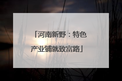 河南新野：特色产业铺就致富路
