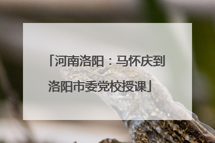 河南洛阳：马怀庆到洛阳市委党校授课