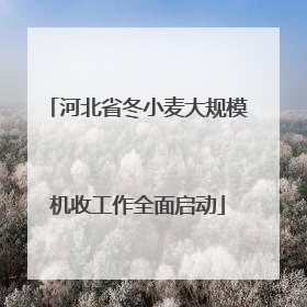 河北省冬小麦大规模机收工作全面启动