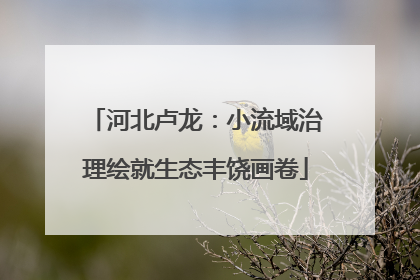 河北卢龙：小流域治理绘就生态丰饶画卷