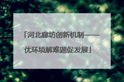 河北廊坊创新机制——优环境解难题促发展
