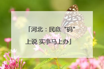 河北：民意“码”上说 实事马上办