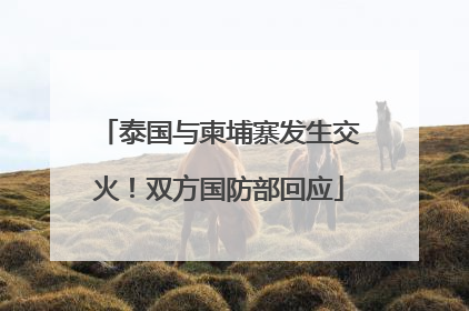 泰国与柬埔寨发生交火！双方国防部回应