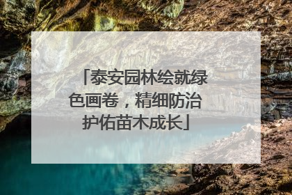 泰安园林绘就绿色画卷，精细防治护佑苗木成长