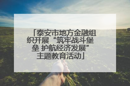 泰安市地方金融组织开展“筑牢战斗堡垒 护航经济发展”主题教育活动
