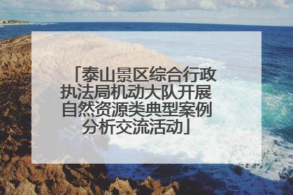 泰山景区综合行政执法局机动大队开展自然资源类典型案例分析交流活动
