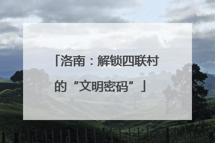 洛南：解锁四联村的“文明密码”