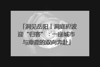 洞见岳阳丨洞庭碧波迎“归客”：一座城市与麋鹿的双向奔赴