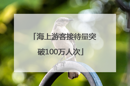 海上游客接待量突破100万人次