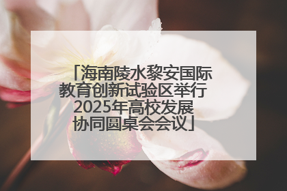 海南陵水黎安国际教育创新试验区举行2025年高校发展协同圆桌会会议