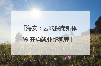 海安：云端探岗新体验 开启就业新视界