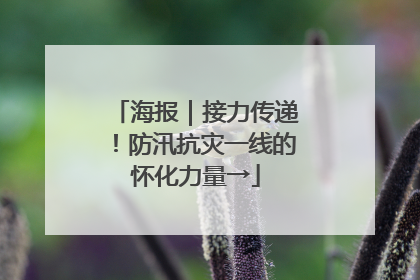 海报｜接力传递！防汛抗灾一线的怀化力量→