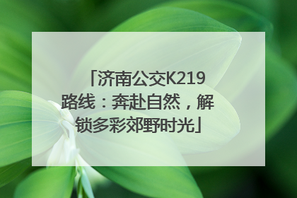 济南公交K219路线：奔赴自然，解锁多彩郊野时光