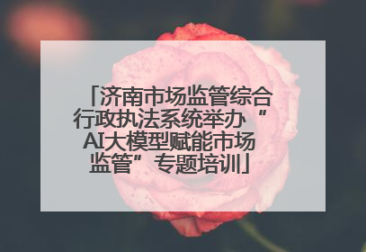 济南市场监管综合行政执法系统举办“AI大模型赋能市场监管”专题培训