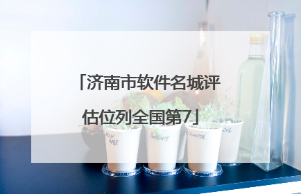 济南市软件名城评估位列全国第7