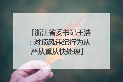 浙江省委书记王浩：对顶风违纪行为从严从重从快处理