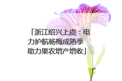 浙江绍兴上虞：电力护航杨梅成熟季 助力果农增产增收