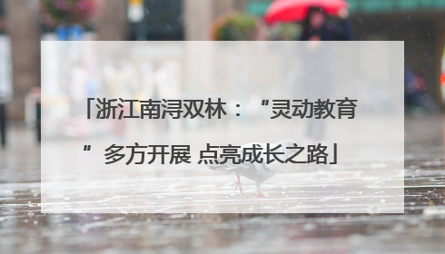 浙江南浔双林：“灵动教育”多方开展 点亮成长之路