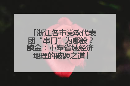 浙江各市党政代表团“串门”为哪般？鲍金：重塑省域经济地理的破题之道