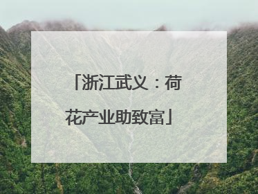 浙江武义：荷花产业助致富
