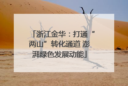 浙江金华：打通“两山”转化通道 澎湃绿色发展动能