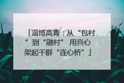 淄博高青：从“包村”到“融村” 用真心架起干群“连心桥”