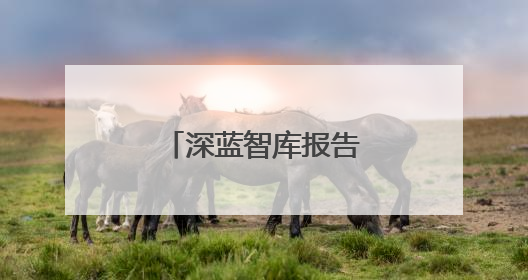 深蓝智库报告：在线旅游业掀起AI竞速战
