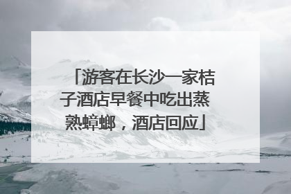 游客在长沙一家桔子酒店早餐中吃出蒸熟蟑螂，酒店回应