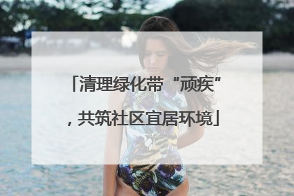 清理绿化带“顽疾”，共筑社区宜居环境