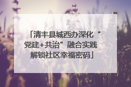 清丰县城西办深化“党建+共治”融合实践 解锁社区幸福密码