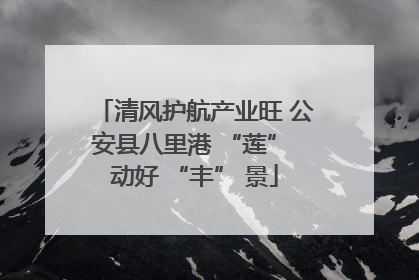 清风护航产业旺 公安县八里港 “莲” 动好 “丰” 景