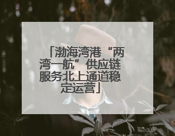 渤海湾港“两湾一航”供应链服务北上通道稳定运营